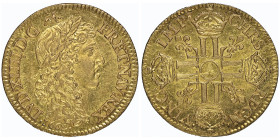 Louis XIV 1643-1715
Louis d'or au buste juvénile, tête laurée, Paris, 1662 A, AU
Ref : G. 246 
Conservation : NGC MS 62. Top Pop: le plus beau gradé...
