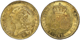 Louis XVI 1774-1792
Double Louis d'or, Paris 1786 A, AU 15.28 g. Ref : G. 363, Fr. 474
Conservation : NGC MS 62