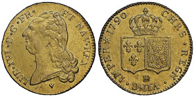 Louis XVI 1774-1792
Double Louis d'or à la tête nue, Strasbourg, 1790 BB, AU 15.18 g.
Ref : G.363 (R4), Fr. 474
Conservation : NGC AU 58. Très rare