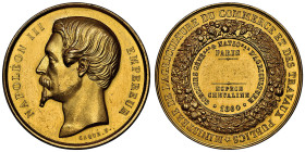 Second Empire 1852-1870
Médaille Ministère de l'Agriculture du Commerce et des Travaux Publics, Espèces chevaline, 1860, Paris, AU 84.93 g. 41 mm par ...