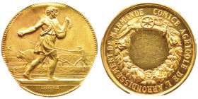 Troisième République 1870-1940
Médaille en or, 1860-1879, Comice Agricole de l'arrondissement de Marmande, AU 13.93 g. poinçon abeille.
Conservation :...
