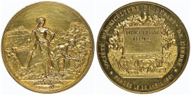 Troisième République 1870-1940
Médaille en or Société d'Agriculture du Départ de l'Indre, 1896, AU 23.72 g. 39 mm
Conservation : NGC MS 61