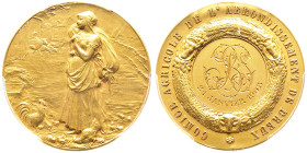 Médaille en or Comice Agricole de l'arron- dissement de Dreux, 1908, AU 26.22 g. poinçon Corne
Conservation : PCGS SP 65