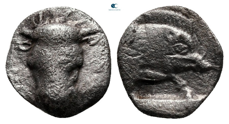 Phokis. Federal Coinage circa 510-500 BC. 
Obol AR

10 mm, 0,75 g

Facing h...