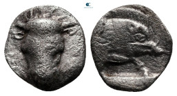 Phokis. Federal Coinage circa 510-500 BC. Obol AR