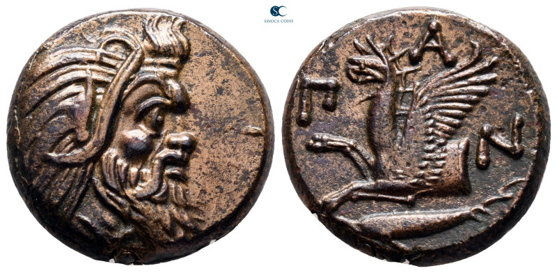 Cimmerian Bosporos. Pantikapaion circa 325-310 BC. 
Bronze Æ

20 mm, 7,09 g
...