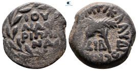 Judaea. Jerusalem. Procurators. Antonius Felix AD 52-60. In the names of Agrippina Junior and Claudius. Dated RY 14 of Claudius (54 CE). Prutah Æ