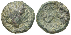 Spain, Arse-Saguntum, c. 200-150 BC. Æ (15mm, 3.60g, 12h). Shell. R/ Dolphin r. CNH 57-8. Green patina, near VF