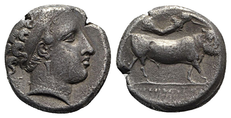 Southern Campania, Neapolis, c. 320-300 BC. AR Didrachm (19mm, 7.18g, 3h). Head ...