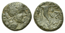 Northern Lucania, Paestum, c. 218-201. Æ Triens (14mm, 2.37g, 11h). Laureate female head right; four pellets (mark of value) behind / Cornucopiae; PÆS...