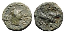 Northern Lucania, Paestum, c. 90-44 BC. Æ Semis (16mm, 3.25g, 6h). Helmeted and draped male bust r. R/ Clasped r. hands. Crawford 32; HNItaly 1250; SN...