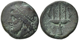 Sicily, Syracuse. Hieron II (275-215 BC). Æ (22mm, 8,22g). c. 263-218 BC. Head of Poseidon l., wearing tainia. R/ Ornamented trident head flanked by t...