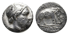 Seleukid Kings, Antiochos III (222-187 BC). AR Drachm (15.5mm, 3.72g). Apameia on the Orontes(?), 222-187 BC. Diademed head r. R/ Elephant standing r....