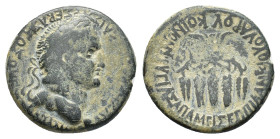 Vespasian (69-79). Phrygia, Apameia. Æ (24mm, 9.89g). Plancius Varus, magistrate. Laureate head r. R/ Five grain ears bundled together. RPC II 1389; S...