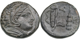 Kingdom of Macedon Æ Unit - Alexander III 'the Great' (336-323 BC) - NGC AU
5.53g. 18mm. AU. Strike 4/5. Surface 3/5. NGC Photo Certificate 5788243-00...