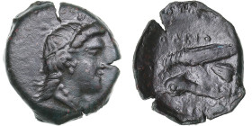 Skythia, Olbia Æ19 Circa 330 BC.
4.17g. 18mm. VF/VF Head of Demeter to right / ΟΛΒΙΟ, eagle standing to left on dolphin to left. HGC 3, 1886.