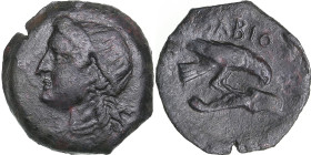 Skythia, Olbia Æ19 Circa 330 BC.
3.97g. 19mm. VF/VF Head of Demeter to left / ΟΛΒΙΟ, eagle standing to right on dolphin to right. HGC 3, 1886.