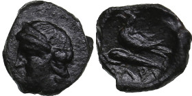 Skythia, Olbia Æ11 Circa 325-320 BC.
0.79g. 11mm. VF/VF Head of Apollo to left / Corn grain over dolphin to left, ΟΛΒΙΟ below. HGC 3, 1924 R1.