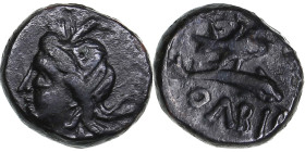 Skythia, Olbia Æ11 Circa 325-320 BC.
1.52g. 11mm. VF/XF Head of Apollo to left / Corn grain over dolphin to right, ΟΛΒΙΟ below. HGC 3, 1924 R1.