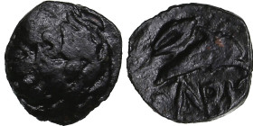 Skythia, Olbia Æ8 Circa 325-320 BC.
0.42g. 8mm. VF/VF Head of Apollo to right / Corn grain over dolphin to right, ΟΛΒΙΟ below. HGC 3, 1924 R1.