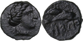 Skythia, Olbia Æ9 Circa 325-320 BC.
0.36g. 9mm. VF/VF Head of Apollo to right / Corn grain over dolphin to right, ΟΛΒΙΟ below. HGC 3, 1924 R1.