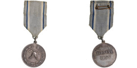 Estonia medal - Firefighters - For Merits
12.66g. 33mm.