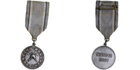 Estonia medal - Firefighters - For Merits
13.77g. 33mm.