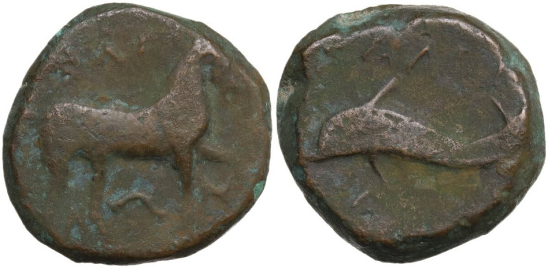 Greek Italy. Northern Apulia, Salapia. AE 19 mm, 275-250 BC. Obv. Horse right. R...