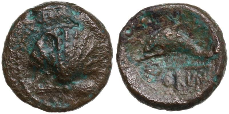 Greek Italy. Southern Apulia, Brundisium. AE 10 mm, 217-212 BC. Obv. Cockle shel...