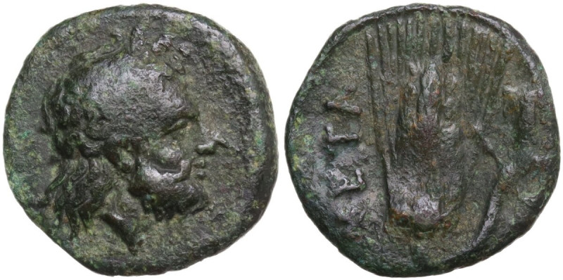 Greek Italy. Southern Lucania, Metapontum. AE 15 mm, 400-340 BC. Obv. Bearded he...