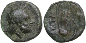 Greek Italy. Southern Lucania, Metapontum. AE 15 mm, 400-340 BC. Obv. Bearded head of Herakles right. Rev. Ear of barley, leaf on the right side. HN I...