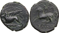 Sicily. Kainon. AE 23 mm, c. 365 BC. Obv. Griffin running left; below, grasshopper. Rev. Horse prancing left; above, star. CNS I 10. AE. 8.40 g. 23.50...