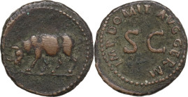 Domitian (81-96). AE Quadrans, 84-85. Obv. Rhinoceros standing left. Rev. Legend surrounding large S C. RIC II-p. 1 (2nd ed.) 250. AE. 2.60 g. 17.50 m...