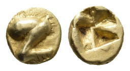 IONIA. Uncertain mint (Circa 600-550 BC). EL 1/24 Stater.
Obv: Human leg.
Rev: Incuse square.
Unpublished in the standard references. Roma Numismat...