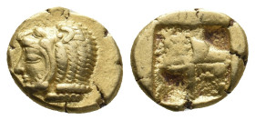 IONIA. Erythrai. (Circa 550-500 BC). EL Hekte.
Obv: Head of Herakles left, wearing lion skin.
Rev: Quadripartite incuse square.
SNG Kayhan 737-8; S...