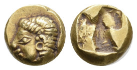 IONIA. Phokaia. (Circa 600-522 BC). EL Hekte.
Obv: Female head facing left, the hair interwoven by a taenia, wearing earring; behind, seal swimming d...