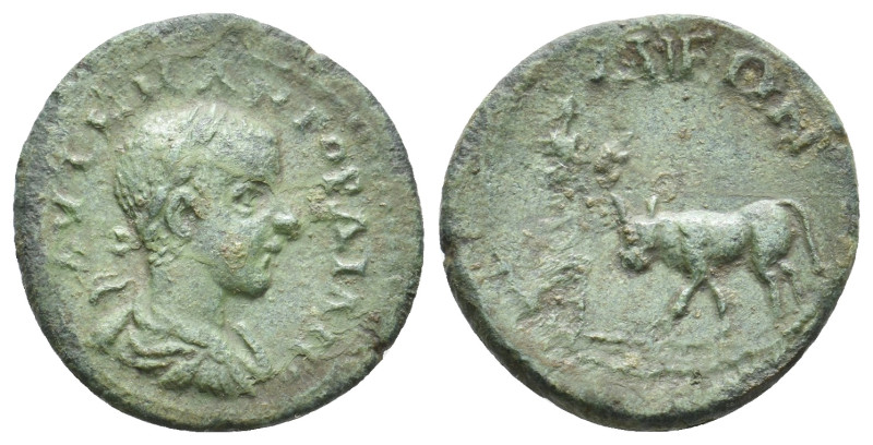 TROAS, Ilium. Gordian III, 238-244 AD. AE.
Obv: ΑΥΤ Κ Μ ΑΝ ΓΟΡΔΙΑΝΟ.
Laureate,...