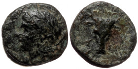 Troas, Assos AE (Bronze, 1.13g, 10mm) 400-241 BC.