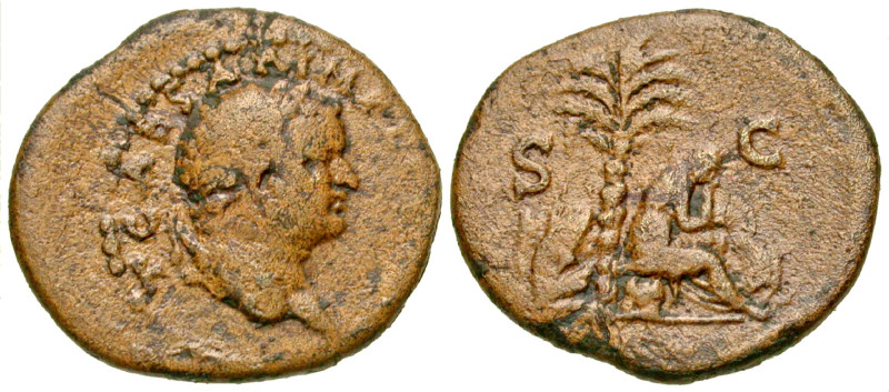 "Titus. As Caesar, A.D. 69-79. AE semis (18.2 mm, 2.58 g, 7 h). Judaea Capta typ...