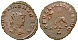 "Gallienus. A.D. 253-268. AE antoninianus (20 mm, 2.58 g, 6 h). Rome mint, struck A.D. 267-268. GALLIENVS AVG, radiate head right / APOLINI CONS AVGG,...