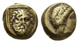 LESBOS. Mytilene. Circa 377-326 BC. Hekte (Electrum, 9mm, 2.4 g). Facing head of Silenos, with wild hair, long beard and two animal ears, within recta...