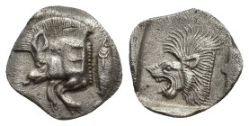 Mysia. Kyzikos 480-450 BC. Obol AR  (12mm, 0.9 g)  . Forepart of boar left, E (retrograde) on shoulder, tunny upward behind / Head of lion left within...