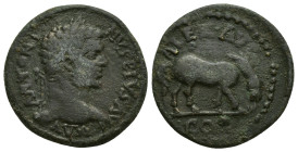 Troas. Alexandreia. Caracalla AD 211-217. Bronze Æ (24mm, 7.6 g). laureate and draped bust right / horse feeding right.