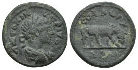 TROAS, Alexandria. Caracalla. 198-217 AD. AE. (23mm, 8 g) Obv: Laureate head of Caracalla, right. Rev: Grazing horse right.