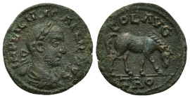 Troas. Alexandreia. Gallienus AD 253-268. Bronze Æ (22mm, 6.8 g) IMP LICIN GALLIEN, laureate, draped, and cuirassed bust right / COL AVG, horse grazin...