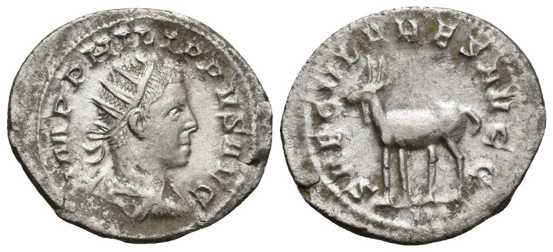 PHILIP II (247-249). Antoninianus. (21mm, 3.7 g) Rome. Obv: IMP PHILIPPVS AVG. R...