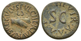 Augustus, 27 BC-AD 14. Quadrans (Copper, 17mm, 3.2 g), Pulcher, Taurus and Regulus, as III viri monetales, Rome, 8 BC. PVLCHER TAVRVS REGVLVS Clasped ...