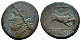 Apulia. Arpi. AE 22. Siglo III a.C. (HN Italy-642). (Hgc-1, 534). Anv.: Laureate head of Zeus to left; thunderbolt behind. Rev.: Boar running to right...
