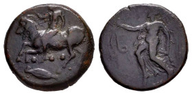 Sicily. Himera. Tetras. 425-409 a.C. (CNS-I 31). (Sng Ans-1339). (Hgc-2, 475). Anv.: Nude rider on a goat to left, blowing into conch; ••• and wheat g...