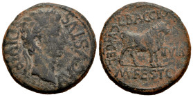 Kelse-Celsa. Augustus period. Unit. 27 BC - 14 AD. Velilla de Ebro (Zaragoza). (Abh-809). (Acip-3164). Anv.: AVGVSTVS. DIVI. F. Laureate head of Augus...
